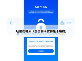 tg加密聊天（加密聊天软件是干嘛的）