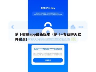 萝卜密聊app最新版本（萝卜+专业聊天软件安卓）