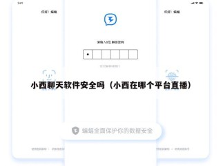 小西聊天软件安全吗（小西在哪个平台直播）