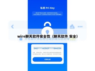 wire聊天软件安全性（聊天软件 安全）