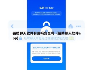 辅助聊天软件有用吗安全吗（辅助聊天软件app）
