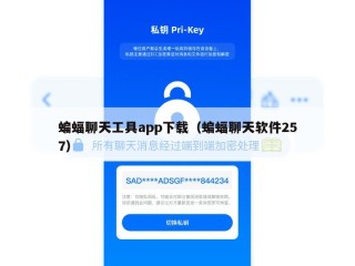 蝙蝠聊天工具app下载（蝙蝠聊天软件257）