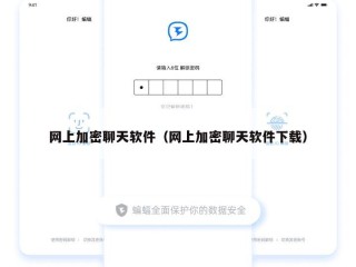 网上加密聊天软件（网上加密聊天软件下载）