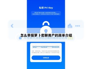 怎么举报萝卜密聊用户的简单介绍