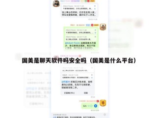 国美是聊天软件吗安全吗（国美是什么平台）