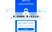 萝卜密聊收费（萝卜密怎么吃）