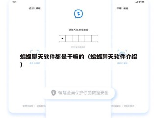 蝙蝠聊天软件都是干嘛的（蝙蝠聊天软件介绍）
