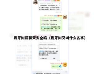 月牙树洞聊天安全吗（月牙树又叫什么名字）