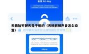 天籁加密聊天是干嘛的（天籁解锁声音怎么设置）