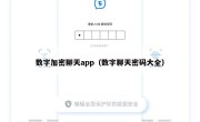数字加密聊天app（数字聊天密码大全）