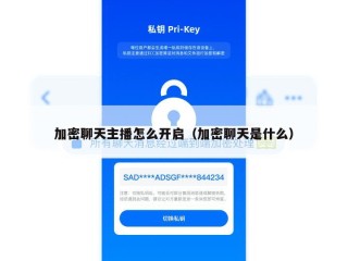 加密聊天主播怎么开启（加密聊天是什么）