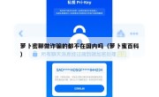萝卜密聊做诈骗的都不在国内吗（萝卜蜜百科）