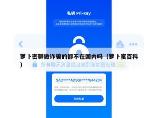 萝卜密聊做诈骗的都不在国内吗（萝卜蜜百科）