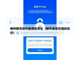 哪种聊天软件最保密安全（聊天保密性强的软件）
