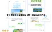 萝卜密聊怎么关注好友（萝卜蜜的功效和作用）
