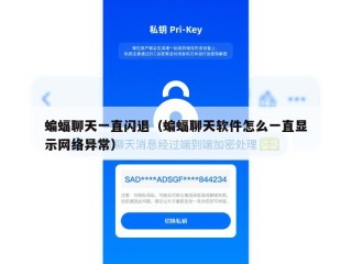 蝙蝠聊天一直闪退（蝙蝠聊天软件怎么一直显示网络异常）