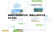 蝙蝠怎么复制聊天记录（蝙蝠app聊天记录怎么导出）