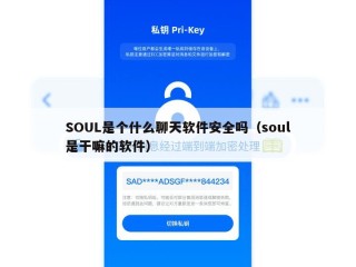 SOUL是个什么聊天软件安全吗（soul是干嘛的软件）