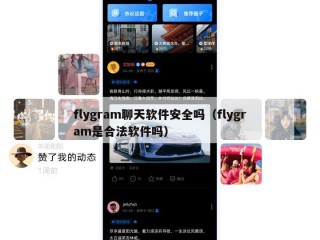 flygram聊天软件安全吗（flygram是合法软件吗）