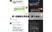 萝卜密聊的公司名称（萝卜命名）
