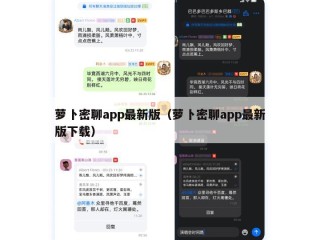 萝卜密聊app最新版（萝卜密聊app最新版下载）