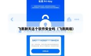 飞燕聊天这个软件安全吗（飞燕网络）