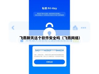 飞燕聊天这个软件安全吗（飞燕网络）