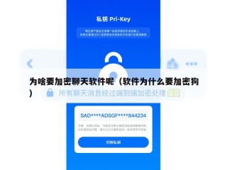 为啥要加密聊天软件呢（软件为什么要加密狗）