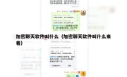 加密聊天软件叫什么（加密聊天软件叫什么来着）