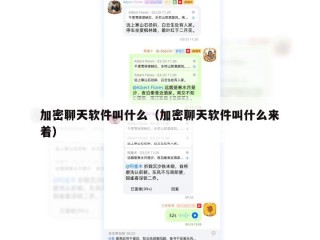 加密聊天软件叫什么（加密聊天软件叫什么来着）
