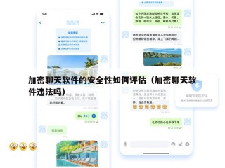 加密聊天软件的安全性如何评估（加密聊天软件违法吗）