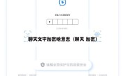聊天文字加密啥意思（聊天 加密）