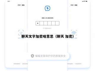 聊天文字加密啥意思（聊天 加密）