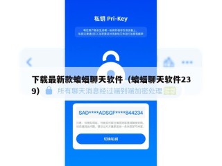 下载最新款蝙蝠聊天软件（蝙蝠聊天软件239）