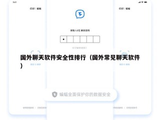 国外聊天软件安全性排行（国外常见聊天软件）
