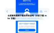小武聊天视频下载软件安全吗（小武下载 mkv 下载）