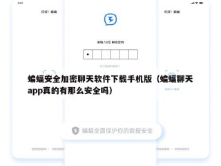 蝙蝠安全加密聊天软件下载手机版（蝙蝠聊天app真的有那么安全吗）