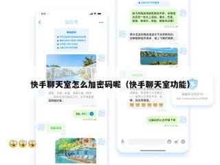 快手聊天室怎么加密码呢（快手聊天室功能）