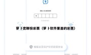 萝卜密聊投彩票（萝卜软件里面的彩票）