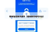 姐妹加密聊天国外（姐妹聊天暗号大全）