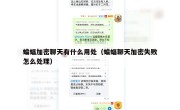 蝙蝠加密聊天有什么用处（蝙蝠聊天加密失败怎么处理）