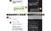 蝙蝠加密聊天工具在哪（蝙蝠聊天怎么设置密语）