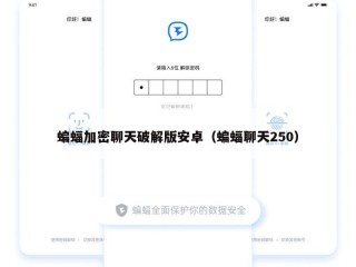 蝙蝠加密聊天破解版安卓（蝙蝠聊天250）