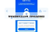 领导加密聊天怎么办啊（领导私加你微信）