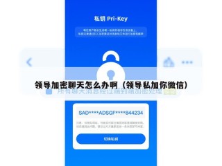 领导加密聊天怎么办啊（领导私加你微信）