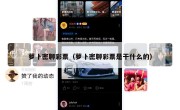 萝卜密聊彩票（萝卜密聊彩票是干什么的）