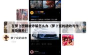 在萝卜密聊被诈骗怎么办（萝卜蜜的功效与作用及图片）