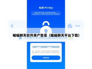 蝙蝠聊天软件用户登录（蝙蝠聊天平台下载）