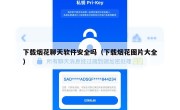 下载烟花聊天软件安全吗（下载烟花图片大全）