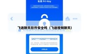 飞语聊天软件安全吗（飞语视频聊天）